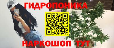 твердый Можга
